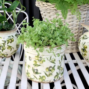 Olive Planter w. olive pattern