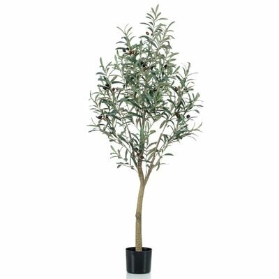 Olive tree 140cm