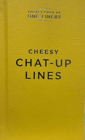 One Liners Chessy Chat Up Lines - image 1