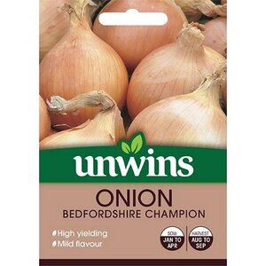 Onion Bedfordshire Champion