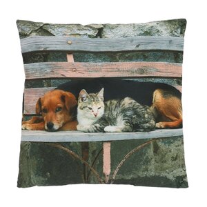 Outdoor Cushion Cat & Dog