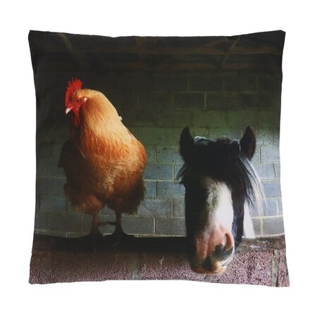Outdoor Cushion Chicken & Horse