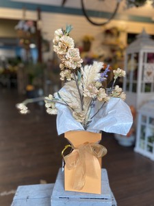 Pampas Grass Flower Arrangement in Gift Box. - image 2