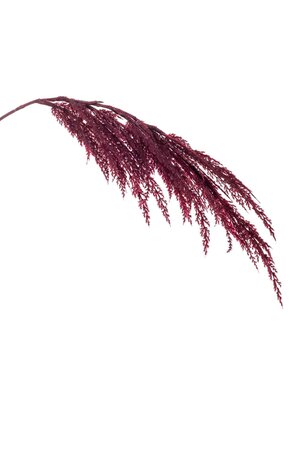 Pampas grass spray burgundy 98cm