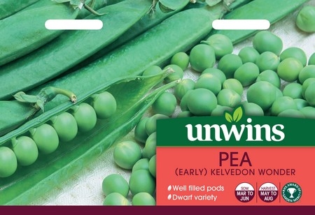 Pea (Early) Kelvedon Wonder
