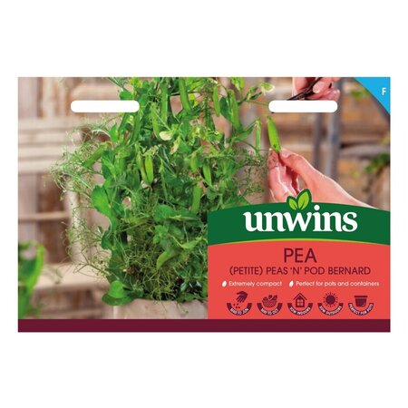 Pea (Petite) Peas 'N' Pod Bernard - image 1