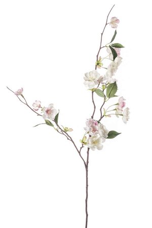 Peach Blossom Cream/Lt. Pink 80cm