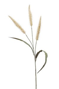 pennisetum spray x 3