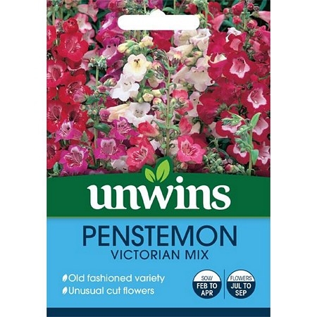 Penstemon Victorian Mix
