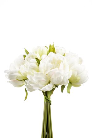Peony bundle x8 24cm white/green