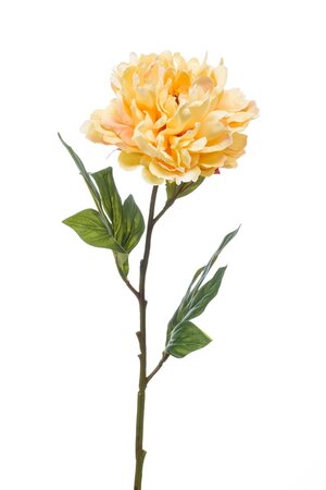 Peony chelsea spray 77cm yellow