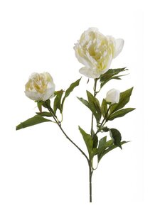 Peony spray x3 cream 70cm