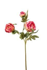 Peony spray x3 dry look pink