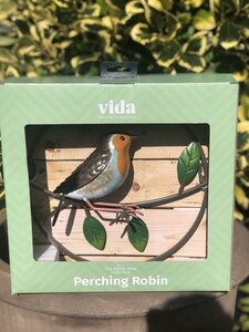 PERCHING ROBIN