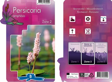 Persicaria amphibia  P9