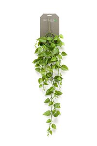 Philondendron vine spray 90cm