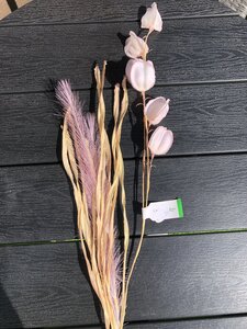 Physalis grass purple/cream