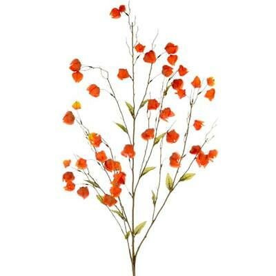 Physalis spray x3 orange 90cm