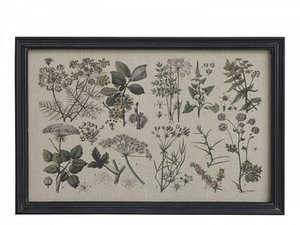 Picture w. floral print & black frame