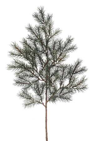Pine spray green/grey - image 1