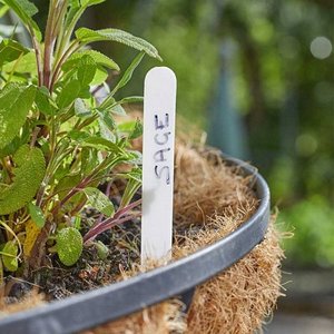 Plant Labels 15 cm 100-PK