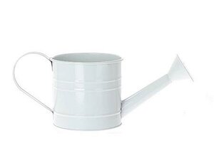 Planter Watering Can Fleura d10.5h10.5