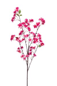 Plum blossom spray hot pink 88cm