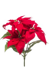 Poinsettia bush x3 red 32cm