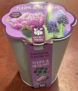 POLLINATOR PLANTER KIT TUL&MUSC PURPLE x15