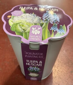POLLINATOR PLANTER KIT TUL&MUSC WHITE x15