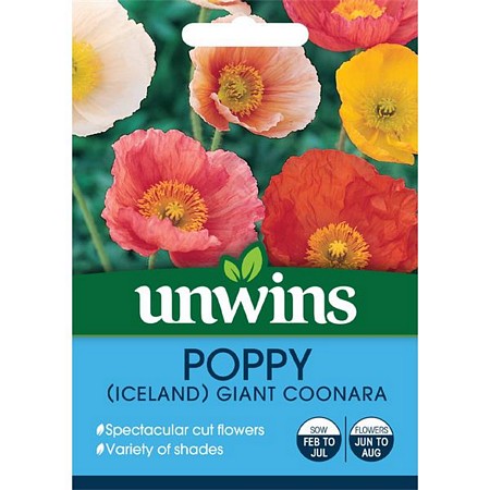 Poppy (Iceland) Giant Coonara