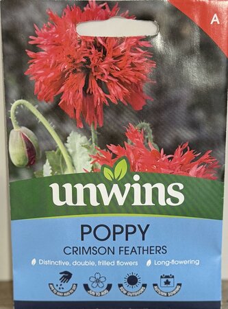 Poppy(laciniatum)CrimsnFeathrsFlower