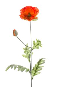 Poppy spray orange 70cm