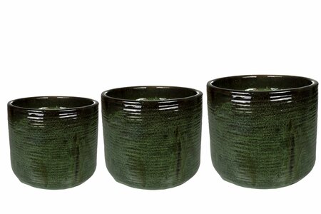 Pot Gilia green D24 H20
