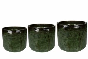 Pot Gilia green D24 H20