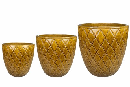 Pot Leon honey D36 H36
