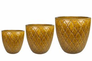 Pot Leon honey D36 H36