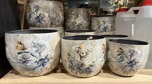 Pot Moonlight meadow D17 H15