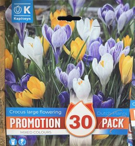 PROMO CROCUS VERNUS MIXED  COLOURS x30