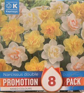 PROMO NARCISSUS DOUBLE MIXED COLOURS x8
