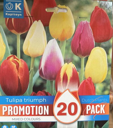 PROMO TULIPA TRIUMPH MIXED COLOURS x20