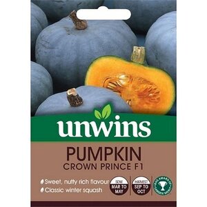 Pumpkin Crown Prince