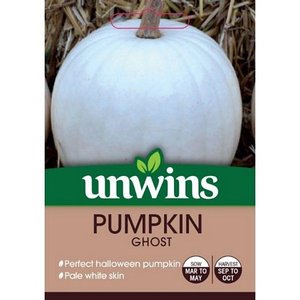 Pumpkin Ghost