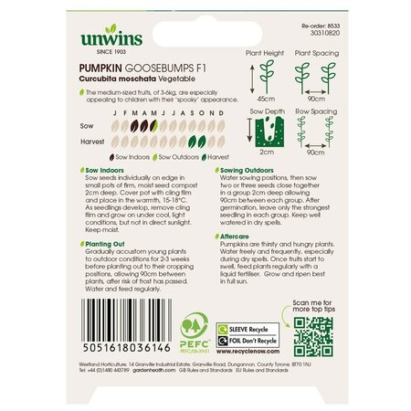 Pumpkin Goosebumps F1 - image 2