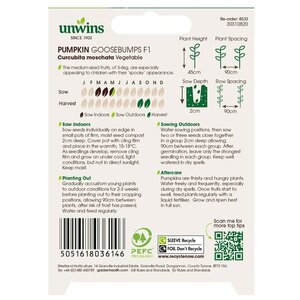 Pumpkin Goosebumps F1 - image 2