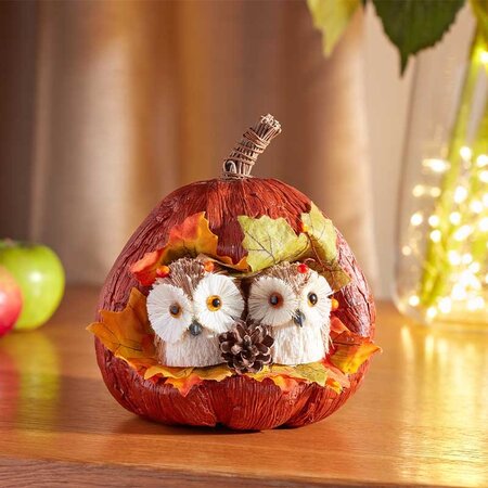 Pumpkin Pals,(x3 Assorted) - image 3