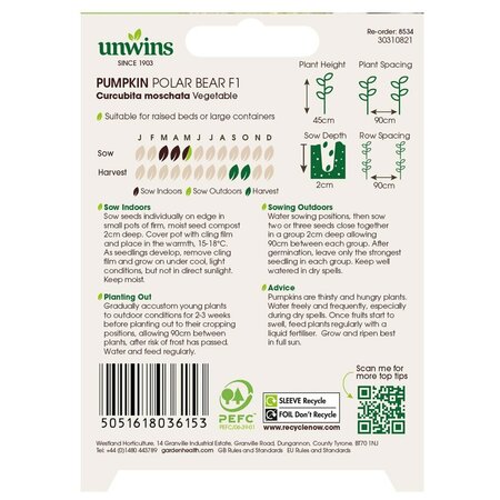 Pumpkin Polar Bear F1 - image 2