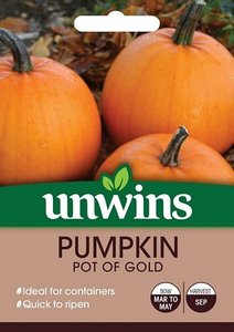 Pumpkin Pot of Gold