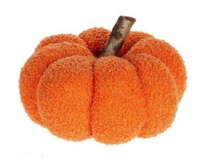 Pumpkin Teddy H13D19