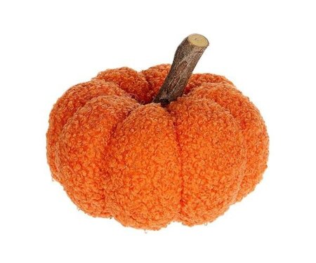 Pumpkin Teddy H9D12